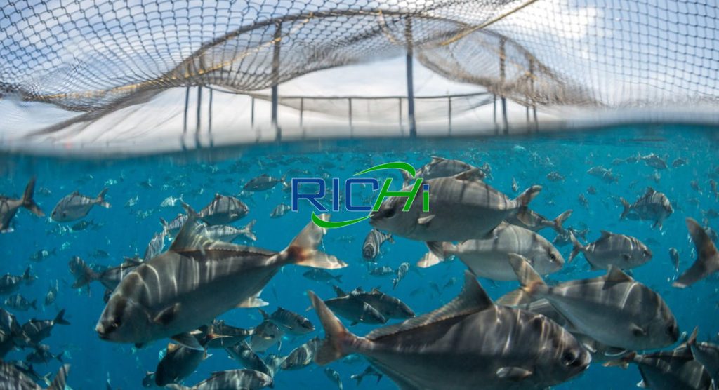 How Can You Optimize The Efficiency Of Your Sinking Fish Feed Pellet Mil