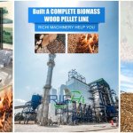 biomass pellet project cost