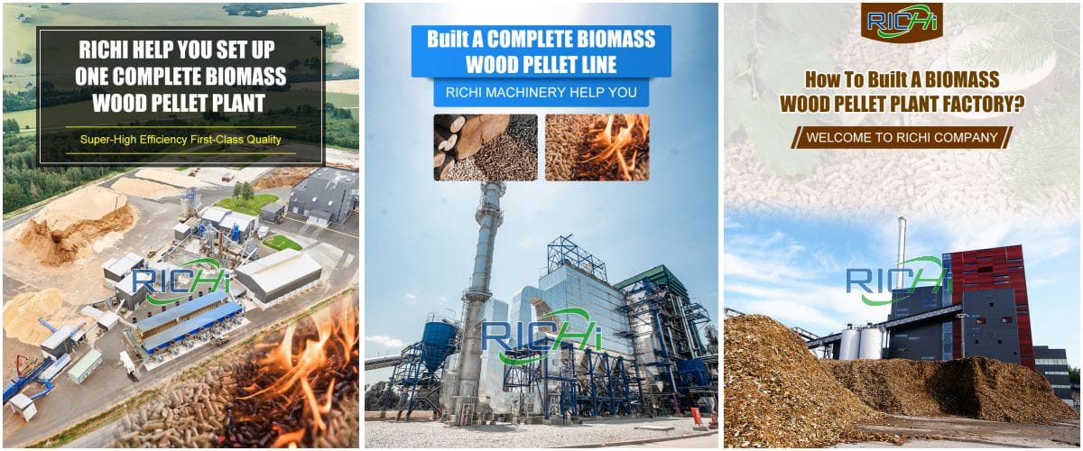 biomass pellet project cost