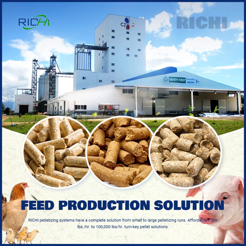 Optimizing 20T/H Animal Feed Production Line