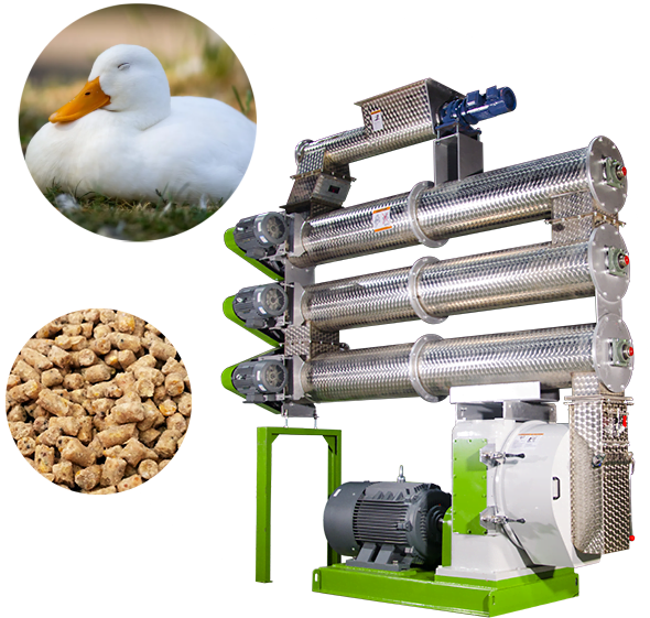 Duck Feed Machines