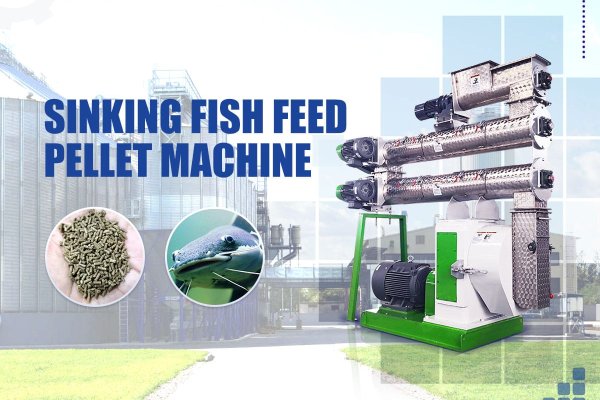 Sinking Fish Feed Machine