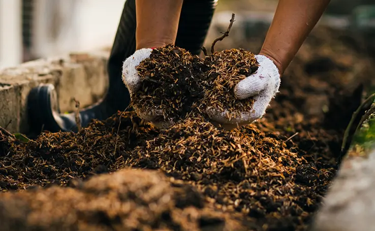 how cow dung can be made into useful organic products raw compost material